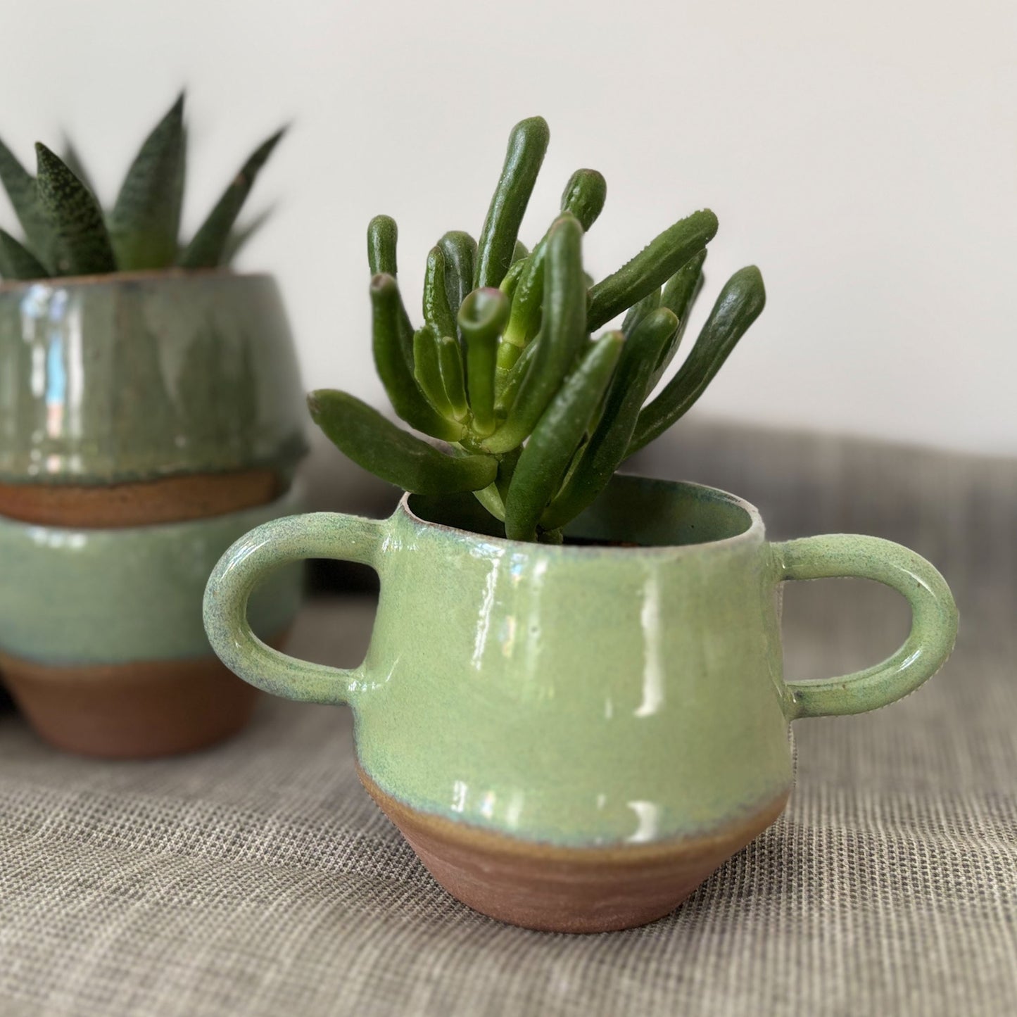 Petit pot à plantes