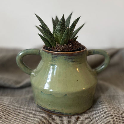 Pot à plantes